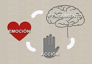Terapia cognitivo conductual